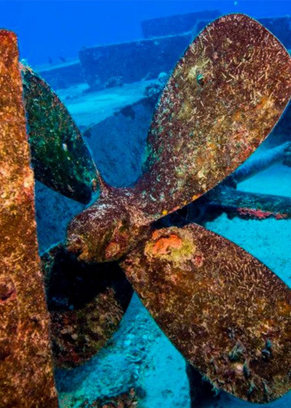scuba diver certification in Honolulu oahu